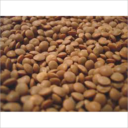 Lentils