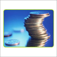 Custom Clearing Service