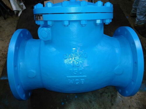 Swing Check Valve