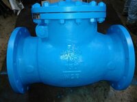 Swing Check Valve