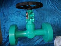 Blue Heavy Duty Gate Valves
