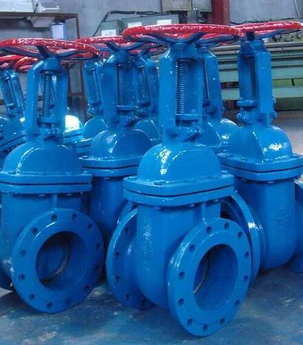 Silver Flanged End Gate Valve