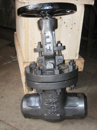 Silver Butt Weld Gate Valve