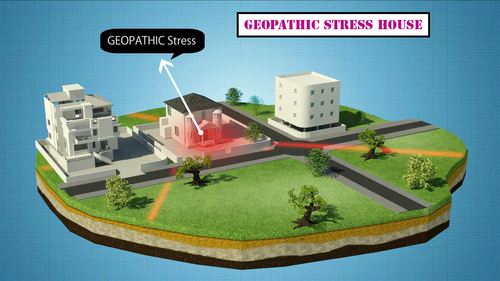 Geopathy Effects Of Geopathic Stress Lines Under Houses at Best Price in ...