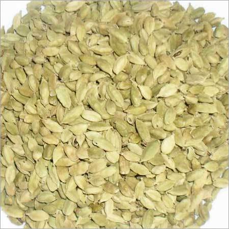 Cardamom