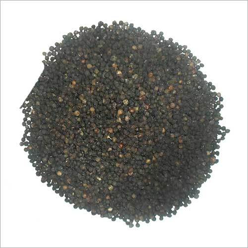 Black Pepper