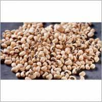 Organic Soybean Seeds