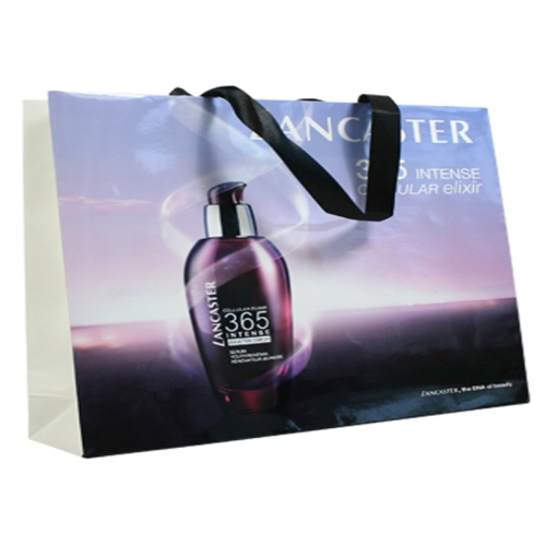 fashion paper bag