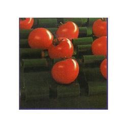 PU Conveyor belts