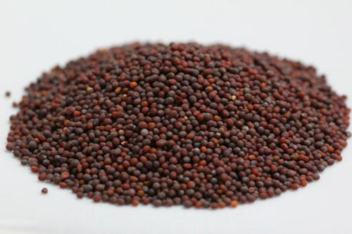 Rie (Mustard Seeds)