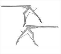 Orthopedic Implants - Premium Grade Biomaterial | Excellent Load-bearing Capacity, Enhanced Bone In-growth, Improved Health & Fast Healing, Special Coating, Novel Surface Architecture