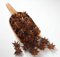 Badiyan Flower-Star Anise