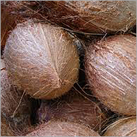 Dried Coconut