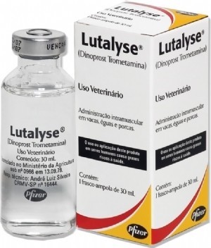 PROSTAGLANDIN F2alpha