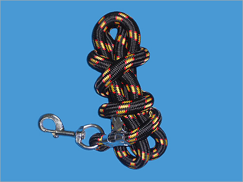 Dog Collar Lead