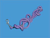 Dog Training Lead