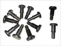 Special Screw