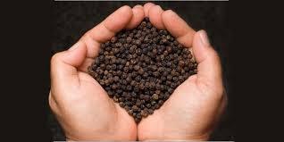 Organic Black Pepper