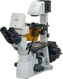 Medical Microscopes