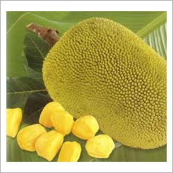 Fresh Jackfruit