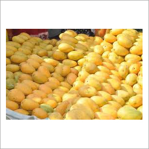 Fresh Mango