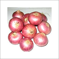 RED Onion