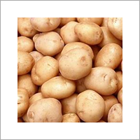 Fresh Potato
