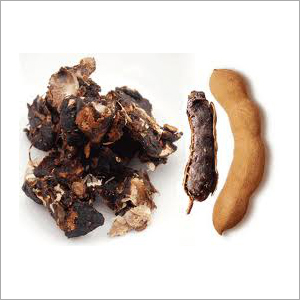Fresh Tamarind