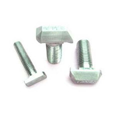 T-Bolts & Nuts