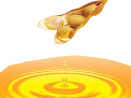 Refined Vegetable Oil