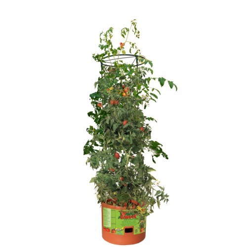 Tomato Barrel w/ 4' Tower