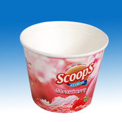 Ice Cream Cup - 16Oz/500ml