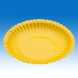 Disposable Paper Plates