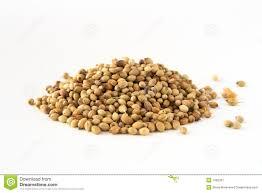 Coriander Powder