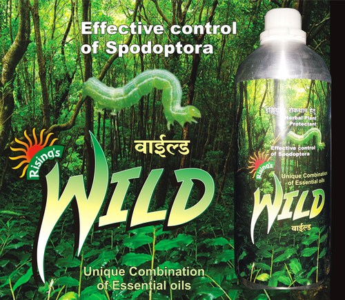 Herbal Insecticide