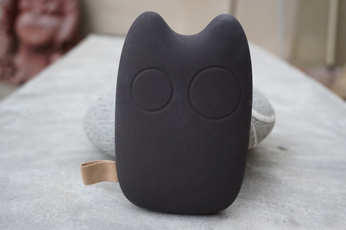 Portable Power Bank