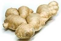 Ginger oil manufacturers