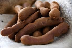 Tamarind Seed Extract