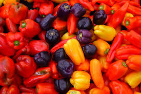 Oleoresin Capsicum