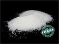 Nbr Powder