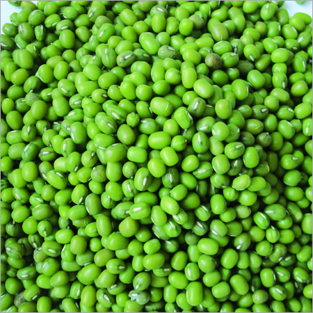 Green Mung Seeds