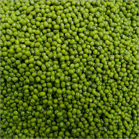 Mung Bean Seeds