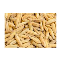 Hybrid Paddy Seeds