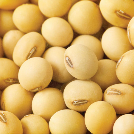 Whole Soybeans