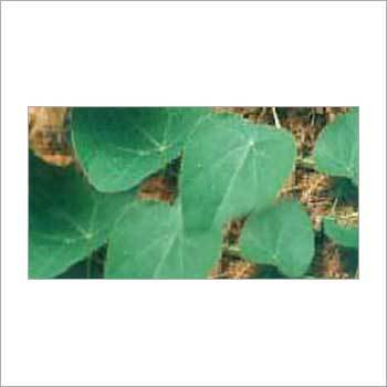 Natural Herbs - Dried Herbs, Flavoring Compound | Highly Effective, Precise Composition, Suitable For All Ages, Store In Cool Place