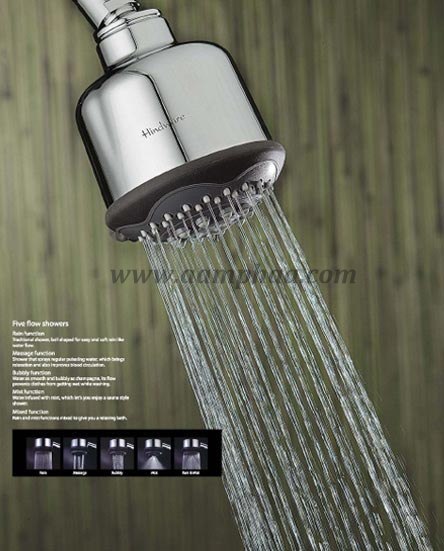 Shower Arm And Head