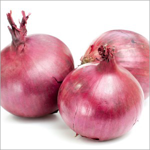 Fresh Onion