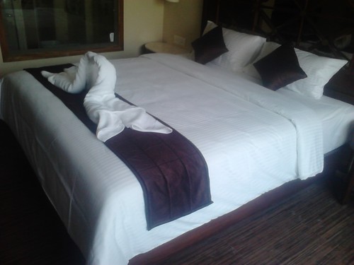 Mercerised Cotton Duvet Covers