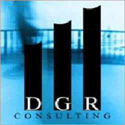 Consulting Services