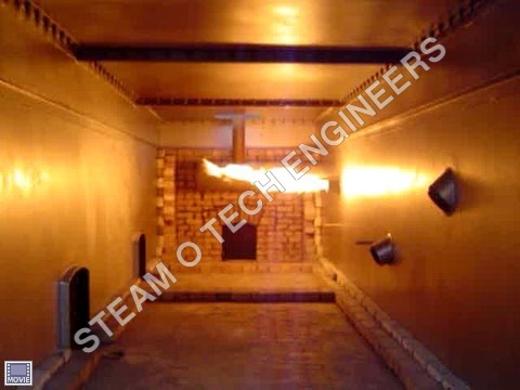 Industrial Incinerator